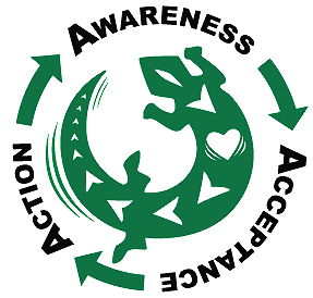 awareness_acceptance_action_franbrodin